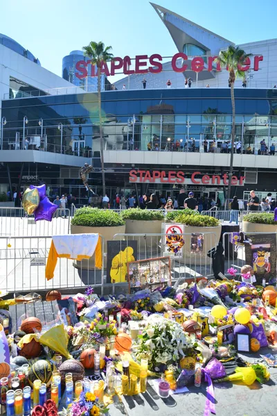 DSC_7129 (Large).JPG